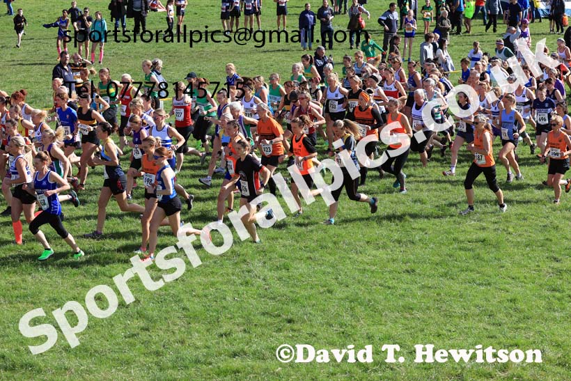 Senior and under-20s women 2024 Start Fitness NEHL, Thornley Hall Farm, Peterlee, Saturday, September 28th.   Photo: David T. Hewitson/Sports for All Pics